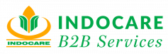 logo indocareb2b