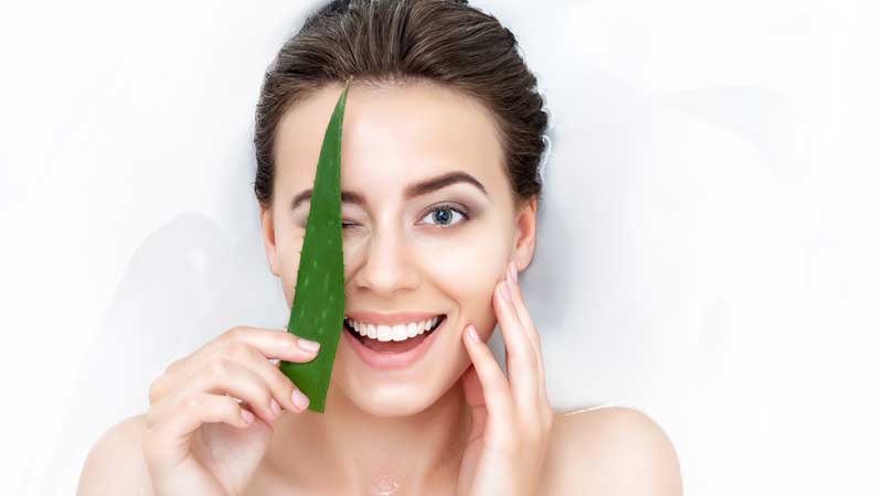 Aloe Vera: Kenapa Holy Grail Banget?