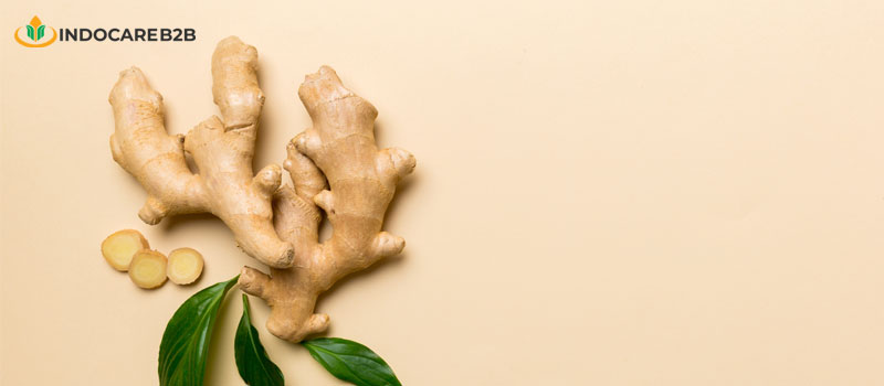 8 Manfaat Jahe untuk Kesehatan Apabila Dikonsumsi Rutin