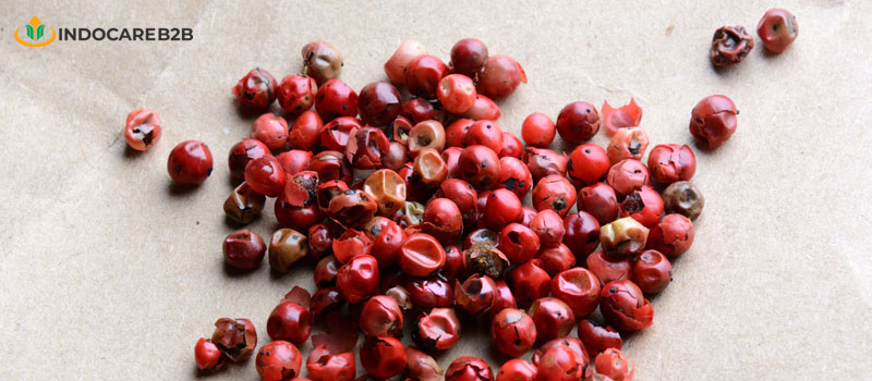 7 Manfaat Cranberry Kering untuk Kecantikan dan Kesehatan