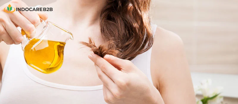 Khasiat Minyak Zaitun untuk Rambut Rontok sebagai USP Produk